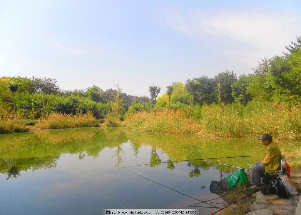 梦见自己偷别人家树卖了100元钱,探索梦境背后的深层含义 梦见自己偷别人家树卖了100元钱,探索梦境背后的深层含义