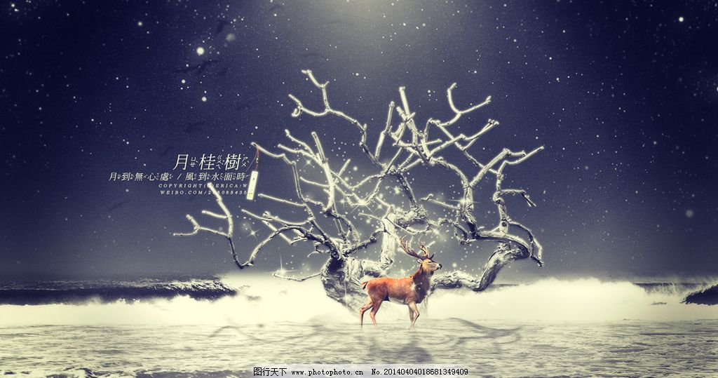 梅花鹿壁纸图片