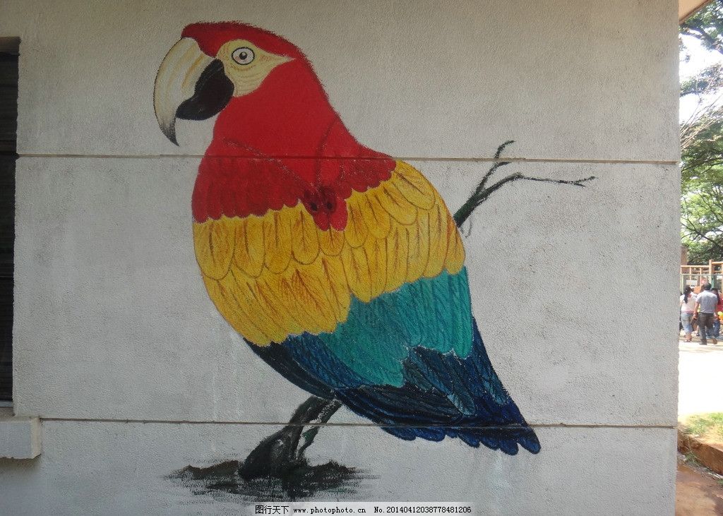 壁画鹦鹉图片