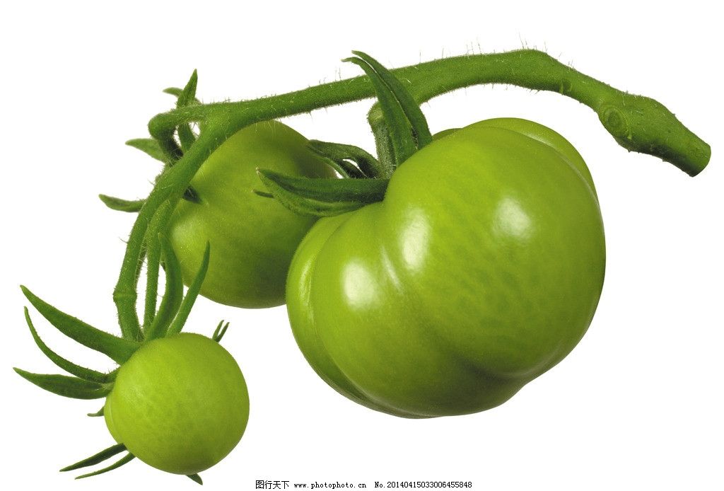 青西红柿图片,番茄 绿西红柿 超市蔬菜 餐饮美食