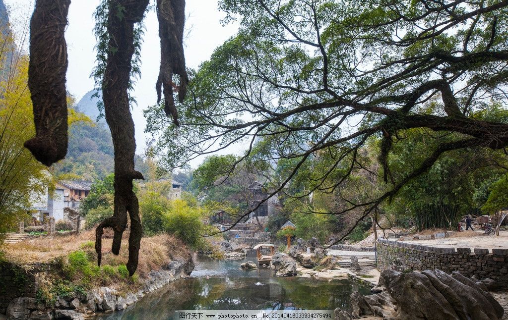 黄姚古镇图片,广西 蓝天 亭子 大树 摄影 旅游 自