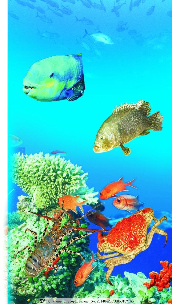 海底世界 海底生物 海底 水底 珊瑚 水草 海藻 水 海水 水泡 金鱼 鱼 动物 生物 动物世界 野生动物 其他生物 生物世界 海底景观 鱼类 海葵 海 海底鱼 蓝色背景 热带鱼 海草 石头 蓝色大海 海洋 海洋世界 风景 海洋公园 青岛海洋公园 青岛海底世界 珊瑚群 色彩斑斓 气泡 海边 热带海洋 热带海底世界 海龟 海报设计 广告设计 矢量 CDR