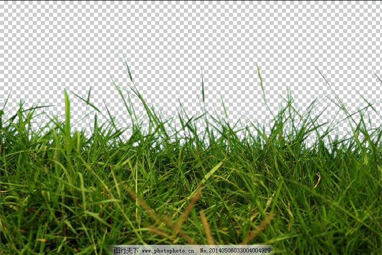 天天绿草地,天天绿草地免费下载 装饰 绿色的草地 一片草地-图行天下图库
