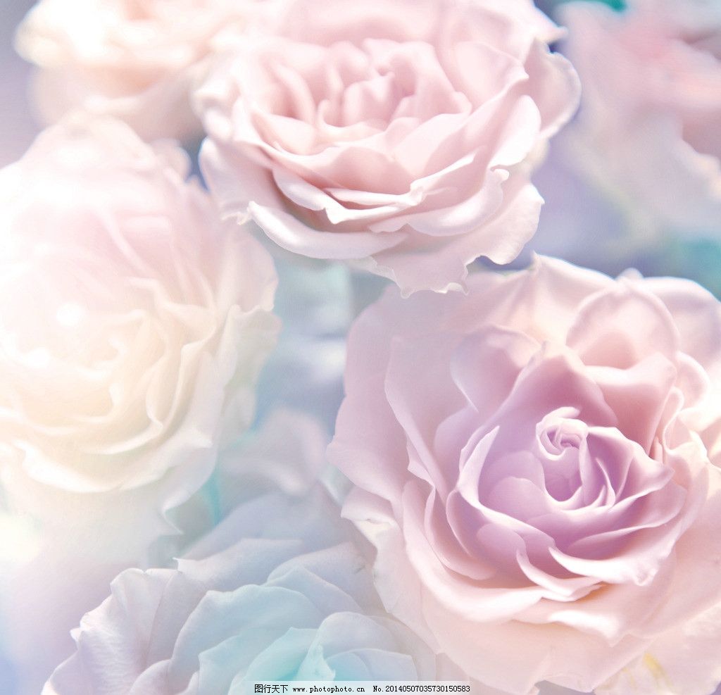 好牌子种类推荐……