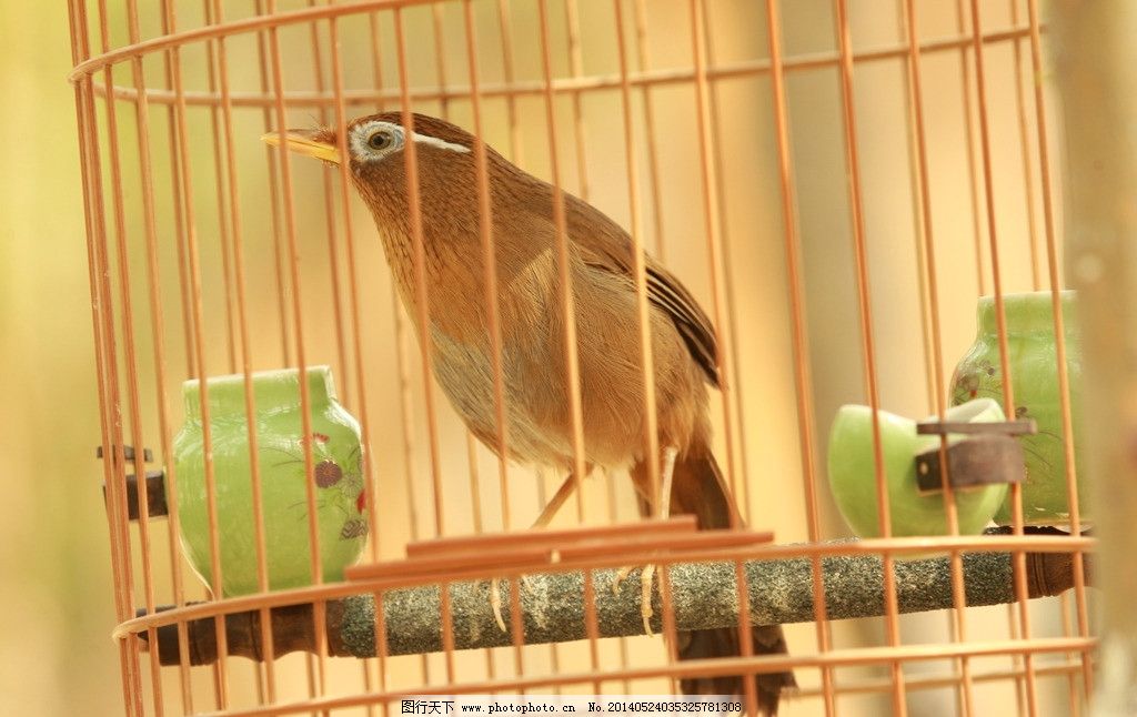 类似帝王画眉的强娶文|类似帝王画眉强占独宠