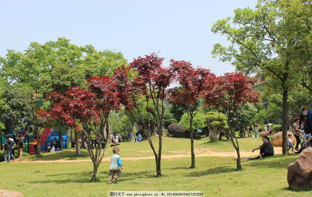 户外风光图片,小孩玩耍 天气晴朗 树木成林 公园