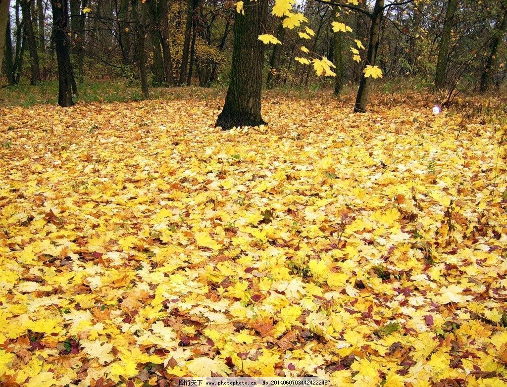 落叶归根回乡搞养殖,他悉心经营农场年赚两百