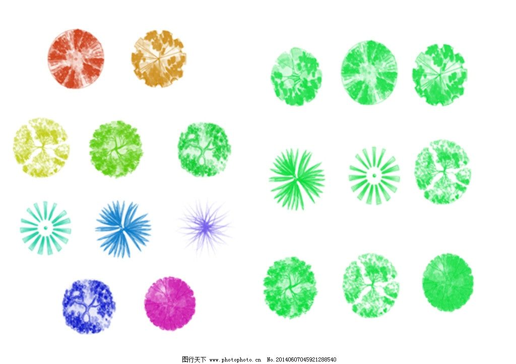 design 花纹与花朵ps笔刷 ps设计素材站 平面植物的笔刷_植物笔刷_ps