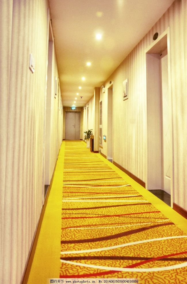 走廊 花瓶 花盆 盆栽 地毯 黄地毯 欧式 白门 室内摄影 建筑园林 摄影