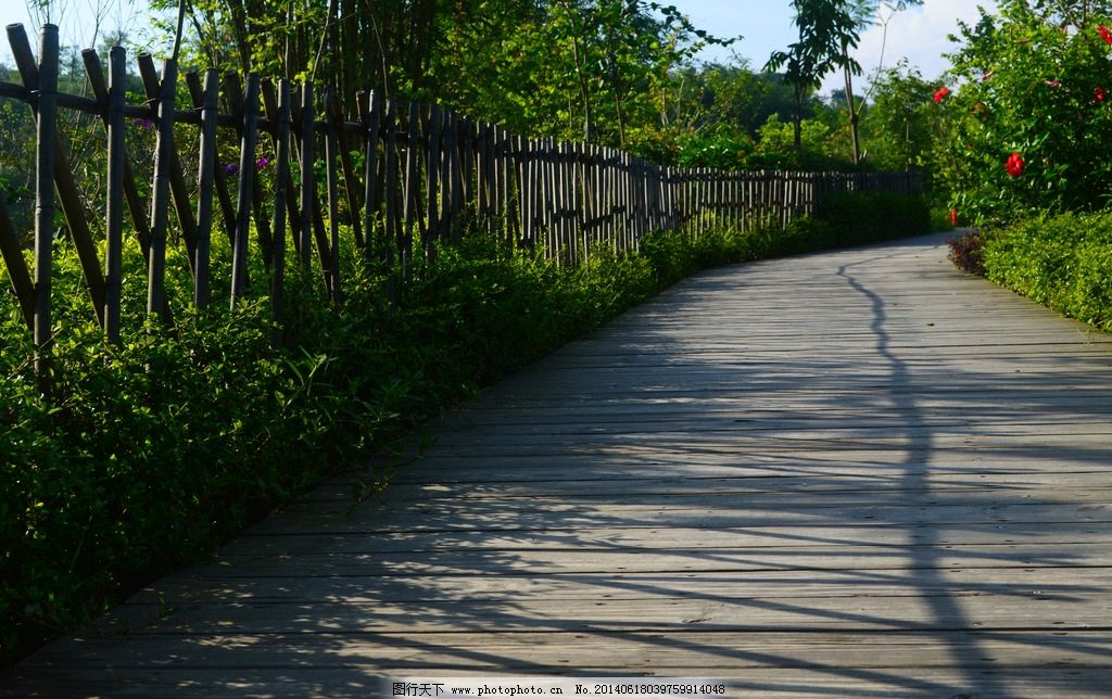 篱笆墙的影子图片