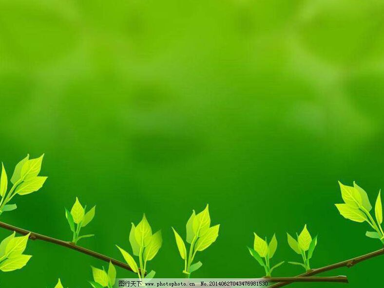 绿色清新的叶子powerpoint背景图片