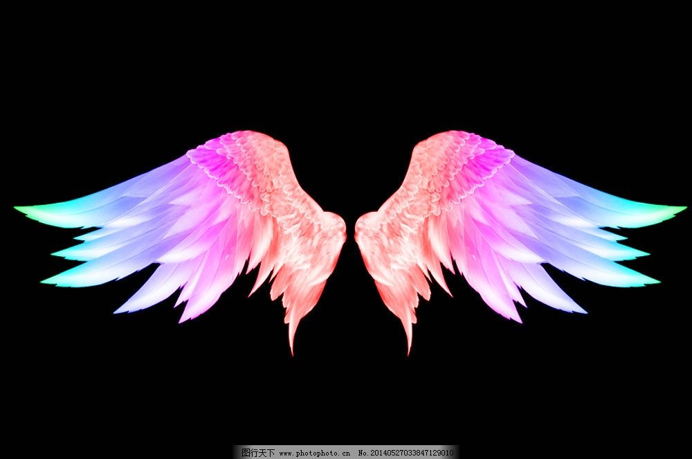 彩色的翅膀