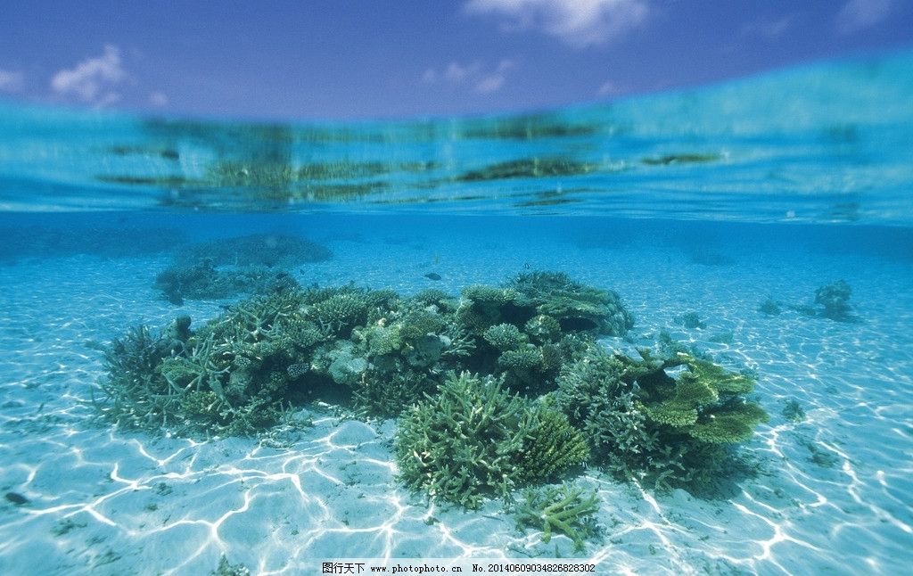 海洋,大海,海底,深海,潜水,自然风景,自然景观,摄影,350DPI,JPG